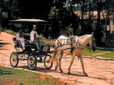 Pousada dos Pireneus Resort - Foto 4