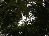 Pousada Serra & Mar Riocentro - Foto 16