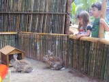 Pousada das Cachoeiras - Foto 7
