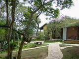 Pousada Telhado Verde - Foto 1