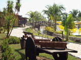 Barretos Country Hotel e Acquapark - Foto 14