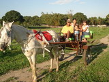 Pousada Cantinho da Roça - Foto 10