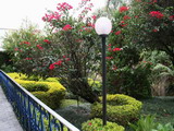 Sesc Pousada de Poços de Caldas - Foto 19