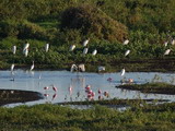 Pousada Piuval - Foto 11