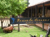 Pousada Araras Pantanal Eco Lodge - Foto 1