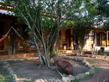 Pousada Araras Pantanal Eco Lodge - Foto 4