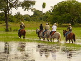Pousada Araras Pantanal Eco Lodge - Foto 7